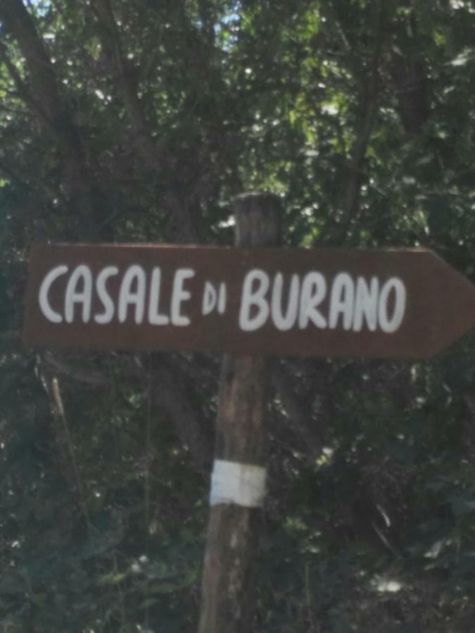 Casale Di Burano Onano Exterior foto